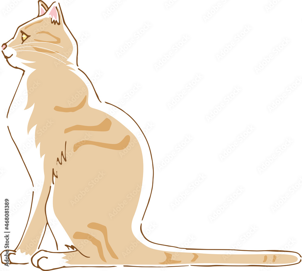 横向きのかわいい猫のイメージイラスト Stock Vector Adobe Stock