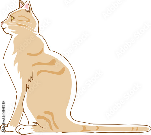 横向きのかわいい猫のイメージイラスト Stock Vector Adobe Stock 横向きのかわいい猫のイメージイラスト Stock Vector Adobe Stock