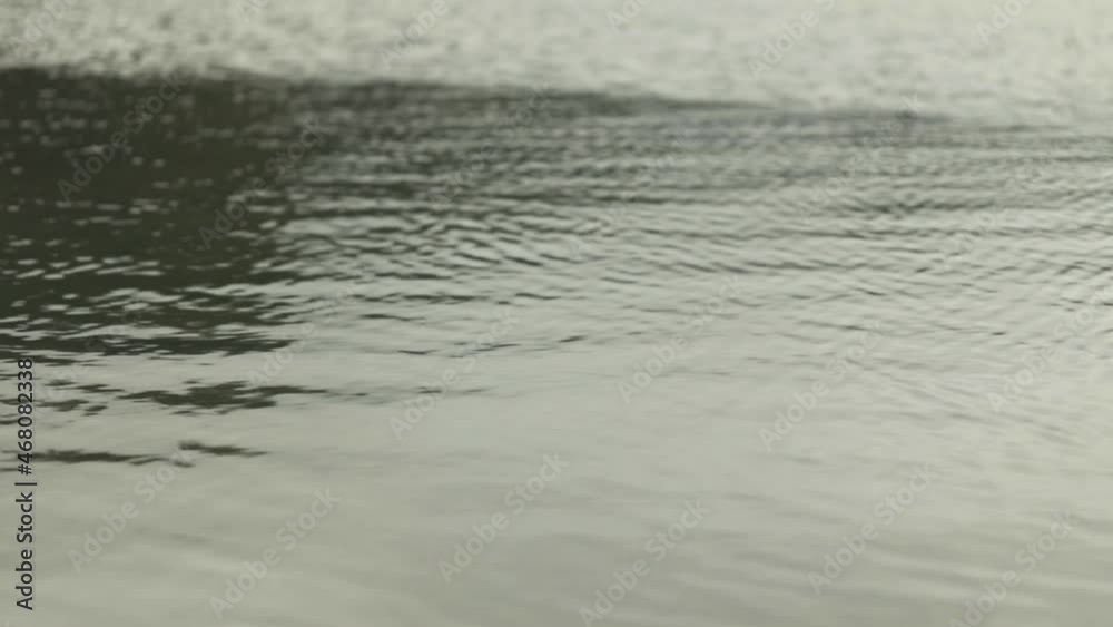 Dark green water background wallpaper Dark green water background wallpaper
