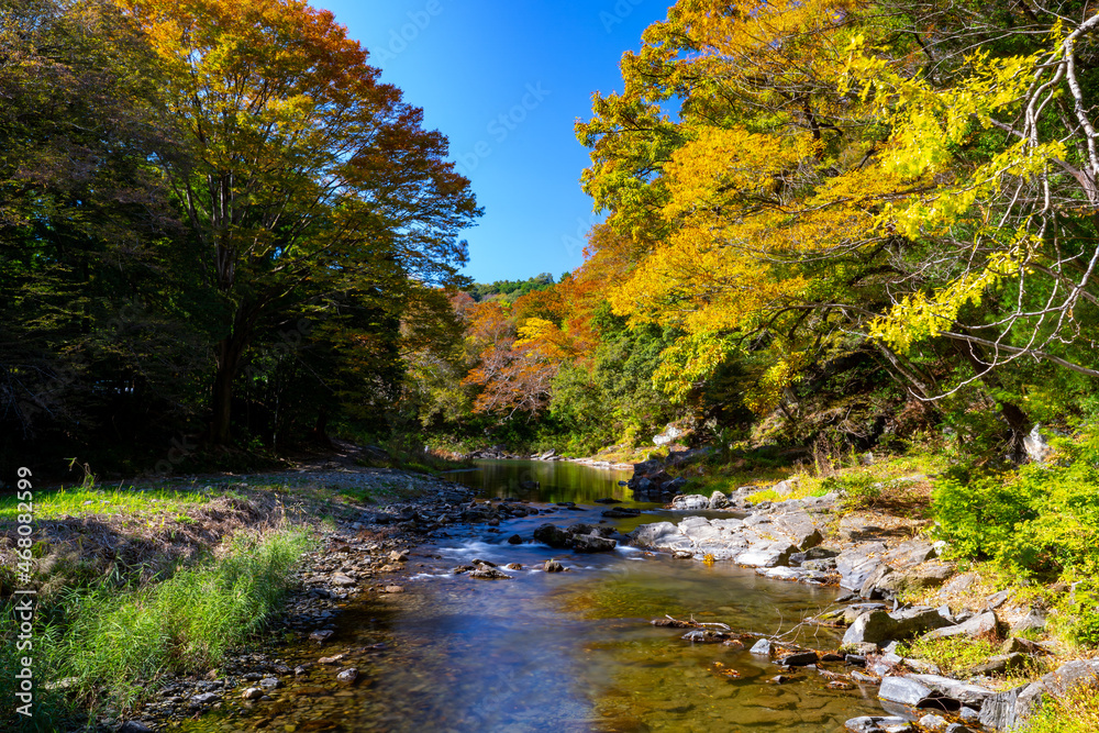秋の嵐山渓谷 冠水橋からの眺望 渓流と紅葉と青空2