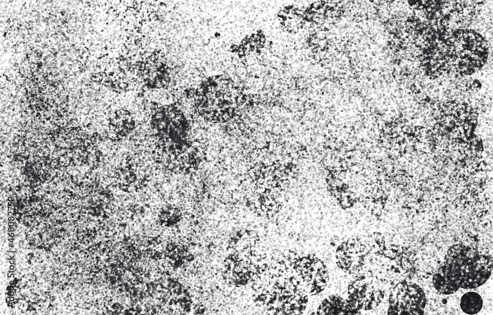Fototapeta premium Grunge Black And White Urban. Dark Messy Dust Overlay Distress Background. Easy To Create Abstract Dotted, Scratched, Vintage Effect With Noise And Grain