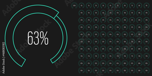 Set of circular sector arc percentage diagrams meters from 0 to 100 ready-to-use for web design, user interface UI or infographic - indicator with green