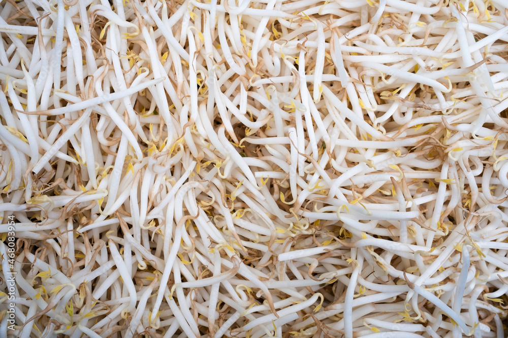 A bowl full of mung bean sprouts seen from above A bowl full of mung bean sprouts seen from above