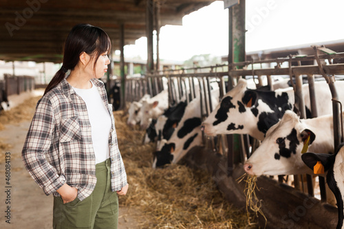 Smiling young female proffesional farmer standing near cows at farm. High quality photo