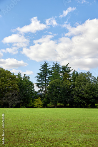 Fototapeta Naklejka Na Ścianę i Meble -  茨木の公園の無人芝生と風景