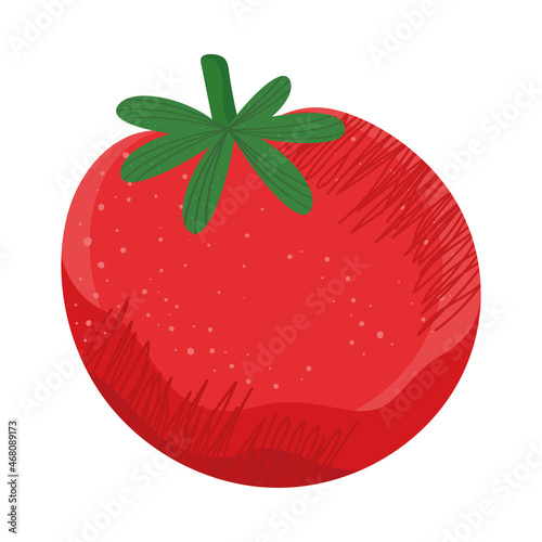 fresh tomato vegetable