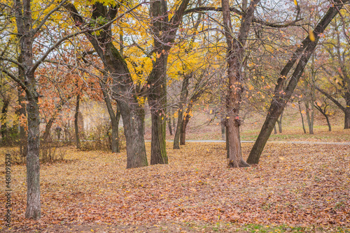 autumn in the park © UA_Color