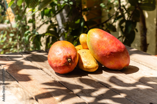 Tropical fruit with juicy sweet and sour pulp Mango