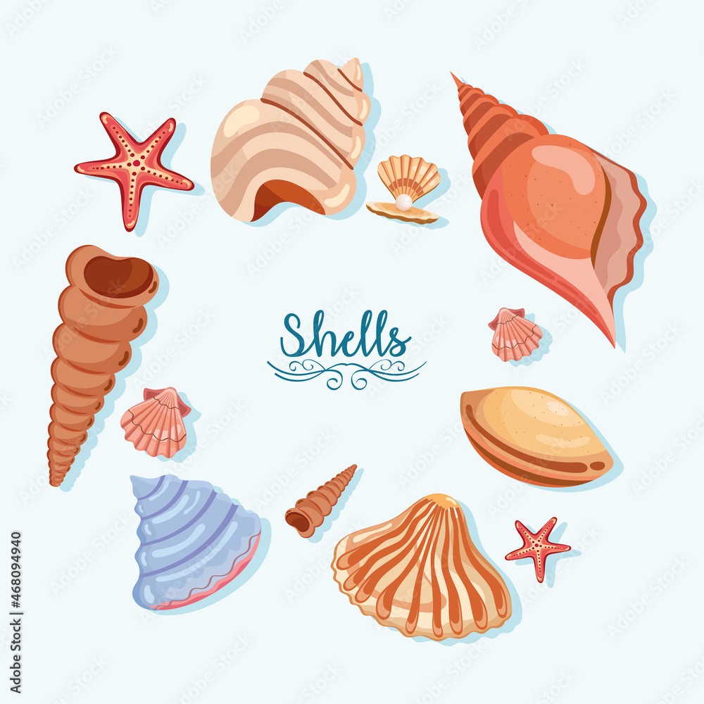 twelve sea shells icons twelve sea shells icons