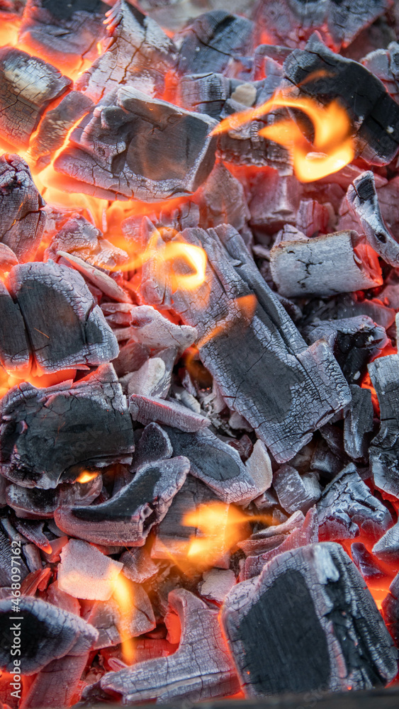 fire burning in a fireplace