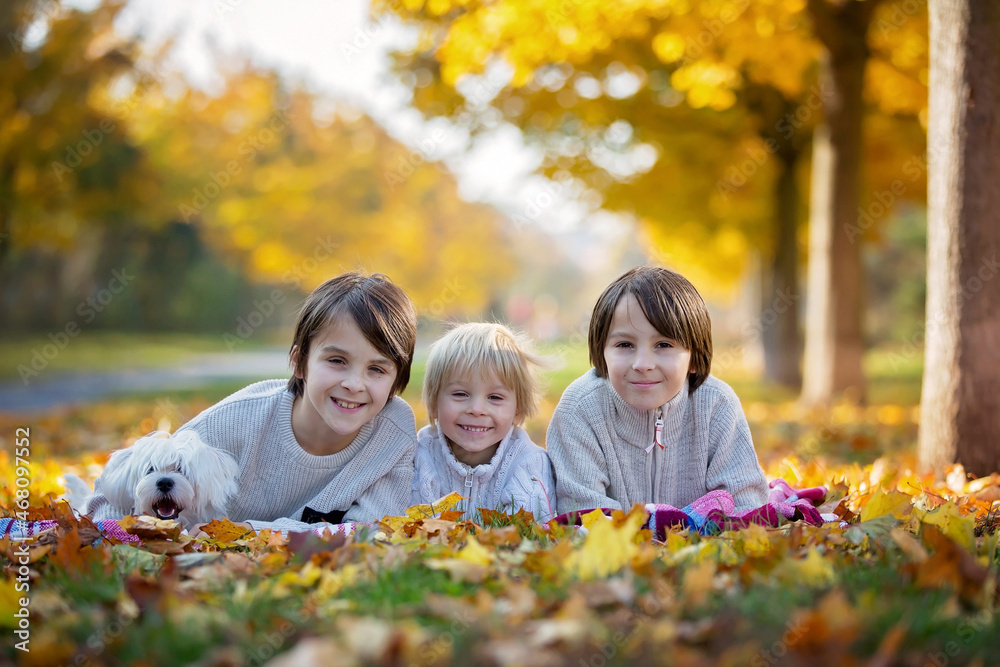 Happy children, playing with pet dog in autumn park on a sunny day Happy children, playing with pet dog in autumn park on a sunny day