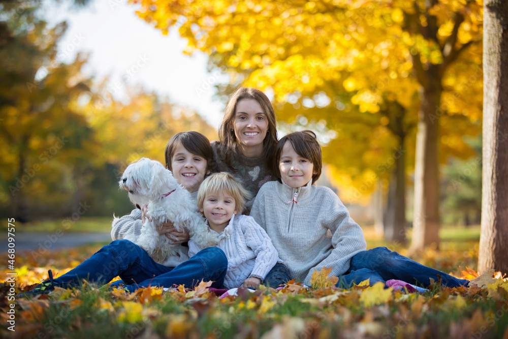 Fototapeta premium Happy children, playing with pet dog in autumn park on a sunny day