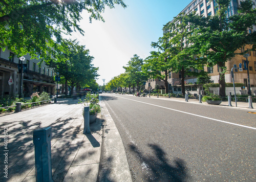 横浜日本大通りの並木道