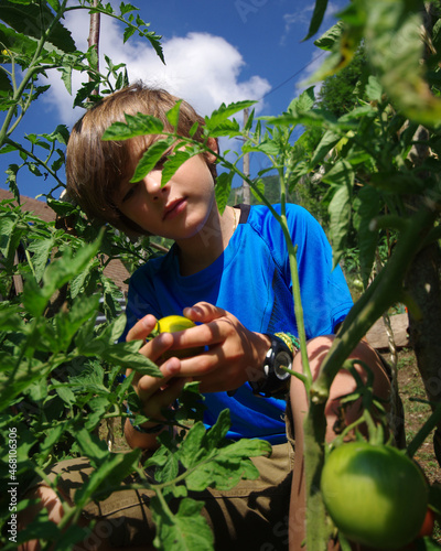 enfance nature - petit garçon au potager