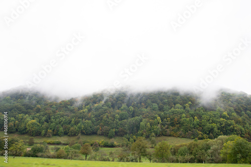 Mountain with forest in the fog