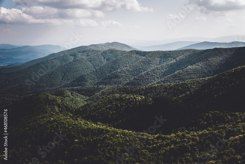 Dark forest, Bieszczady Mountains, Poland