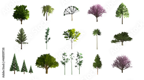 Set with various trees on a white background. Graphic  illustration  icons  web