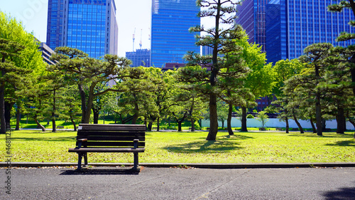 Imperial Palace (Kokyo Gaien) National Garden, Tokyo, Japan photo