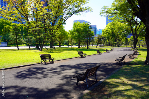 Imperial Palace (Kokyo Gaien) National Garden, Tokyo, Japan photo