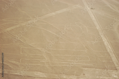 Drawings  Nazca lines   lineas de nazca   in the desert of nazca - Peru. High quality photo