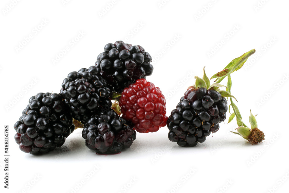 Blackberry cluster Blackberry cluster