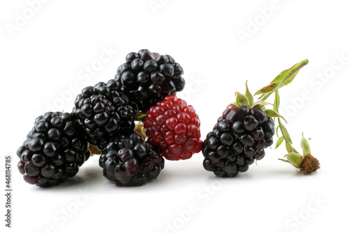 Blackberry cluster