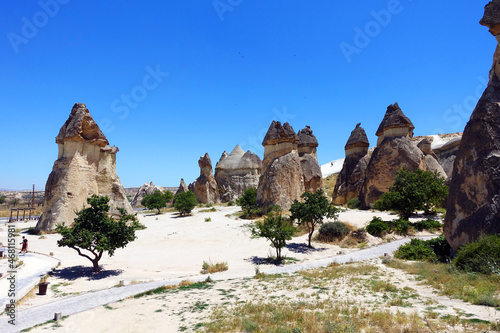 Pasaba Valley  Fairy Chimneys in TUrkey