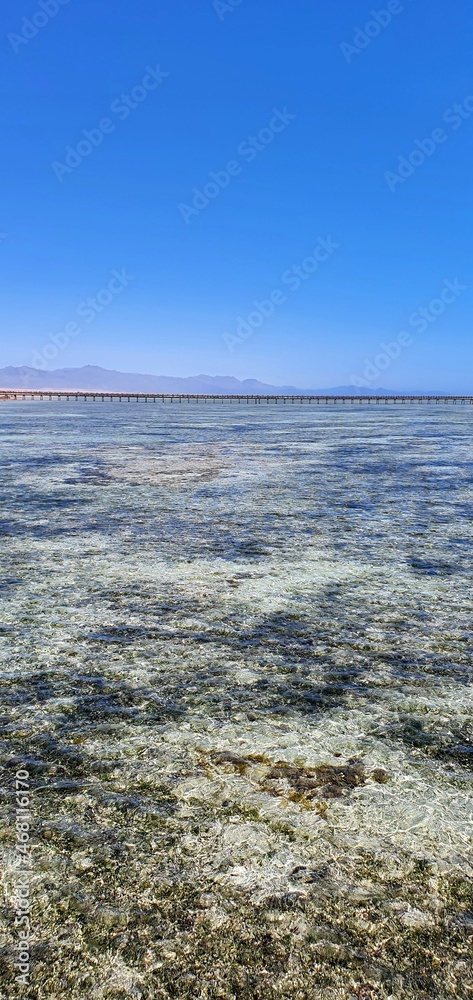 Beautiful seascape in Egypt. Clear sea and blue sky. Calm at sea. Rest on the Red Sea in Egypt. Beautiful seascape in Egypt. Clear sea and blue sky. Calm at sea. Rest on the Red Sea in Egypt.