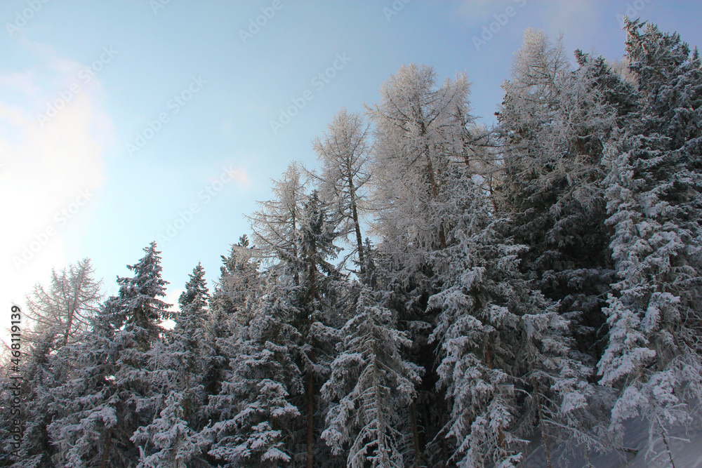 Winter mountain forest in snow Winter mountain forest in snow