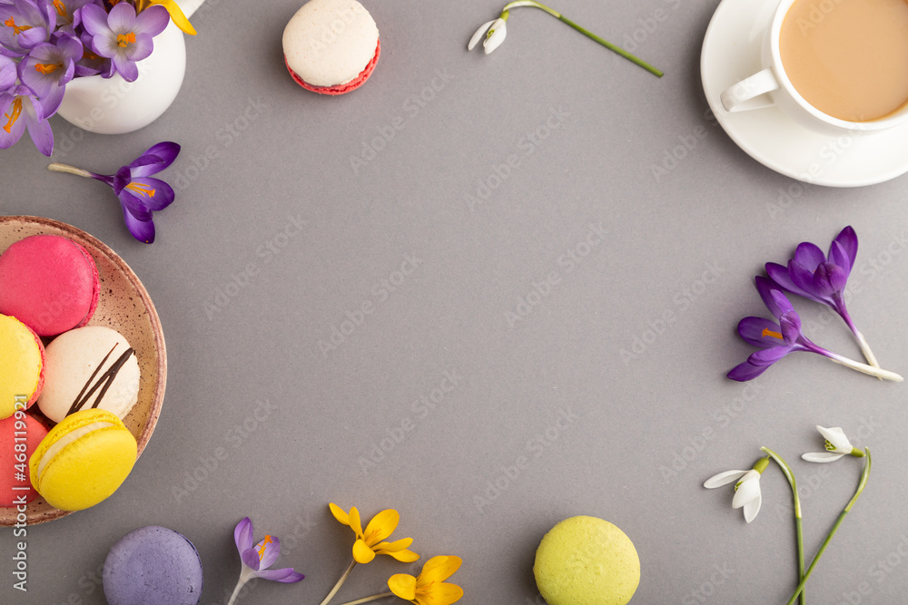 Mockup with spring snowdrop crocus flowers and multicolored macaroons on gray pastel background. top view, copy space.