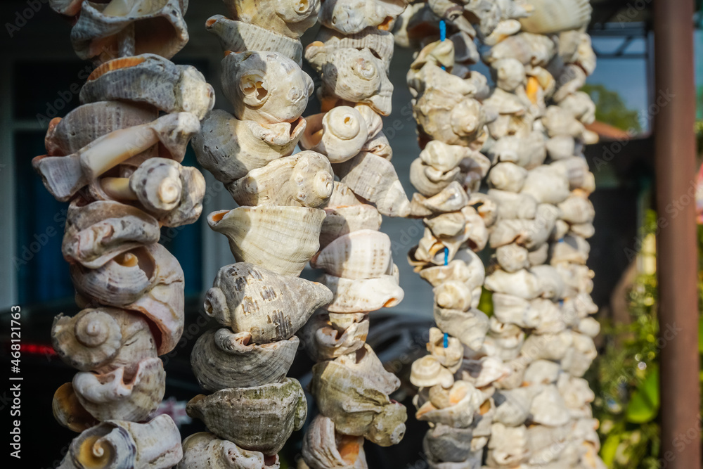 Many seashells suspended from ropes