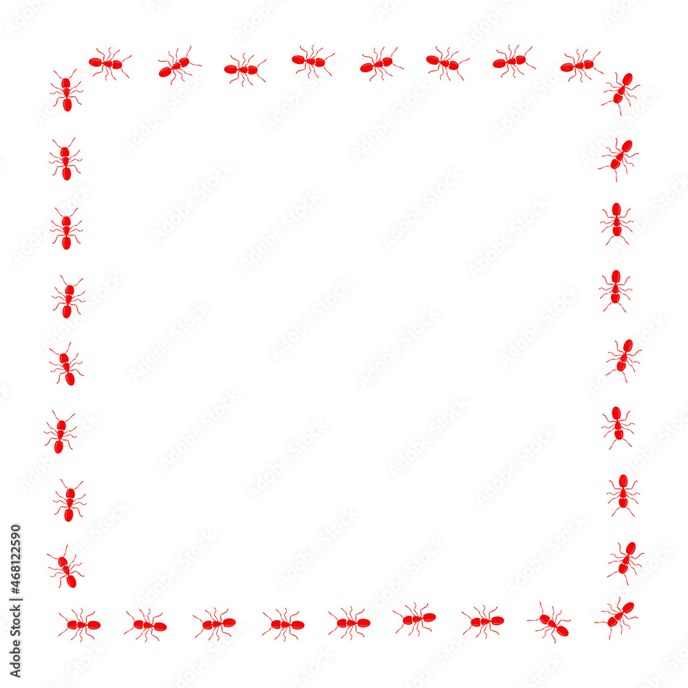 Ant trail square shape. Frame from red ants. Ant trail square shape. Frame from red ants.