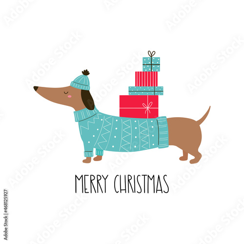 Cute dachshund with hand drawn lettering- Merry Christmas. Christmas characters. Vector hand-drawn color children's illustration. 