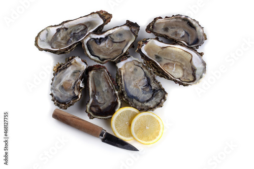 Opened oysters, lemon slices and special oyster knife