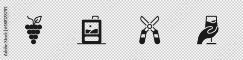 Set Bunch of grapes, Cardboard box wine, Gardening scissors and Wine tasting, degustation icon. Vector