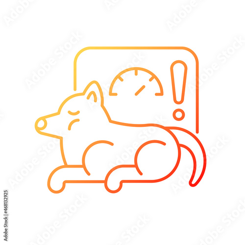 Obesity gradient linear vector icon. Body fat excessive amount. Pet disease. Overfeeding and activity lack problems. Thin line color symbol. Modern style pictogram. Vector isolated outline drawing