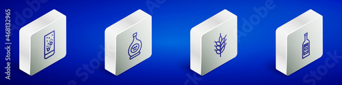 Set Isometric line Effervescent tablets in water, Bottle of cognac or brandy, Hop and Glass bottle vodka icon. Vector