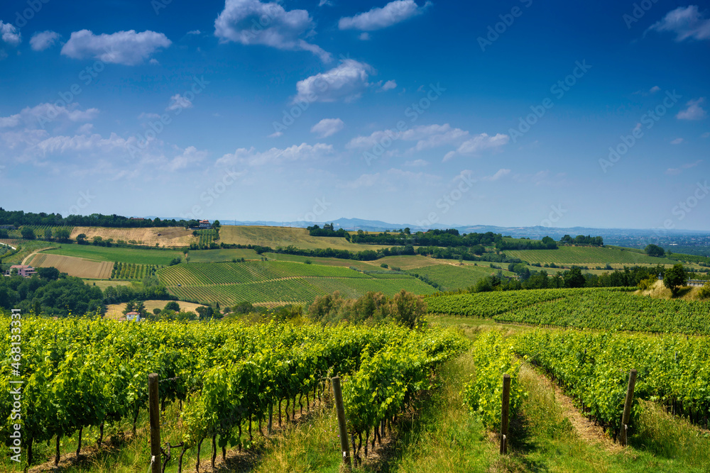 Country landscape near Meldola and Bertinoro, Emilia-Romagna