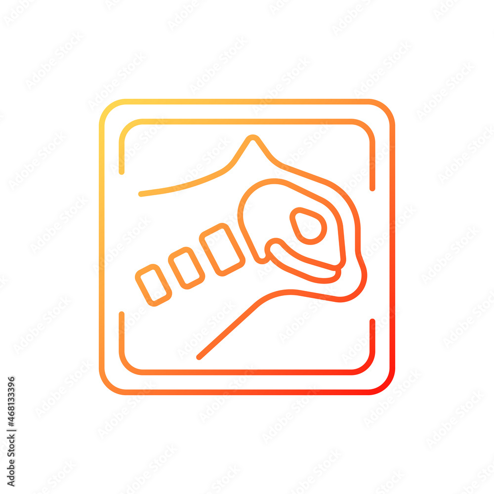 Pet x rays gradient linear vector icon. Radiography diagnostic procedure. Tomographic analysis. Pet bone examination. Thin line color symbol. Modern style pictogram. Vector isolated outline drawing Pet x rays gradient linear vector icon. Radiography diagnostic procedure. Tomographic analysis. Pet bone examination. Thin line color symbol. Modern style pictogram. Vector isolated outline drawing