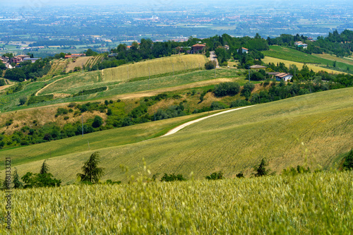 Country landscape near Meldola and Predappio  Emilia-Romagna