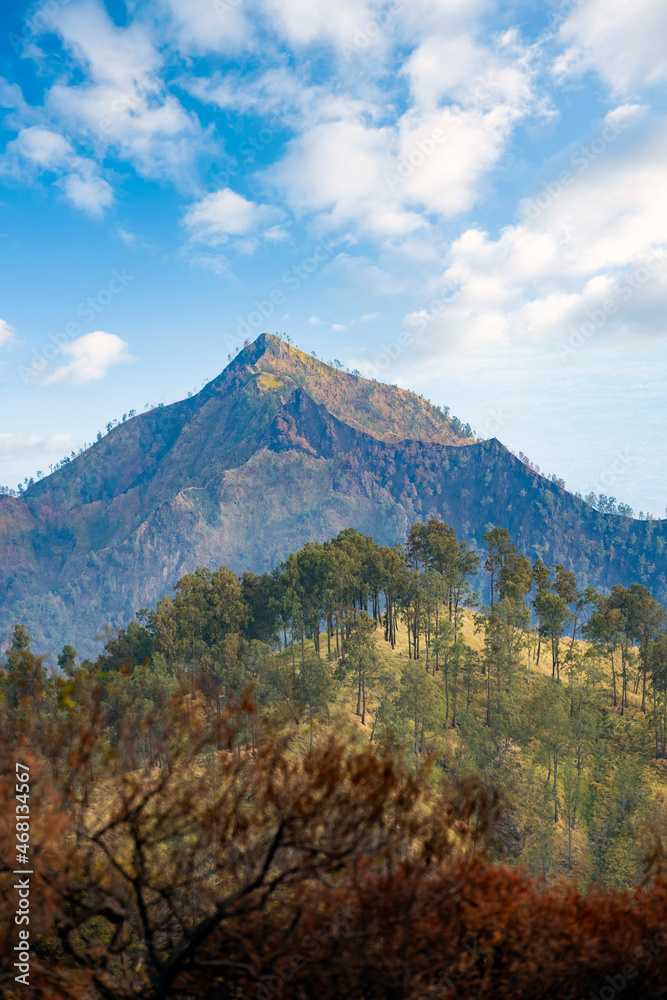 Stunning view of a mountain range with beautiful lush vegetation in the foreground. Ijen Volcano complex, East Java, Indonesia.