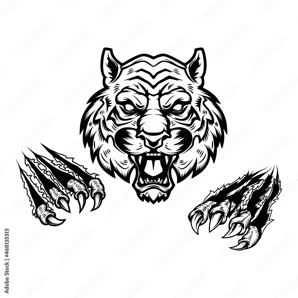 Tiger head and claws. Design element for logo, emblem, sign, poster, t shirt. Vector illustration Tiger head and claws. Design element for logo, emblem, sign, poster, t shirt. Vector illustration