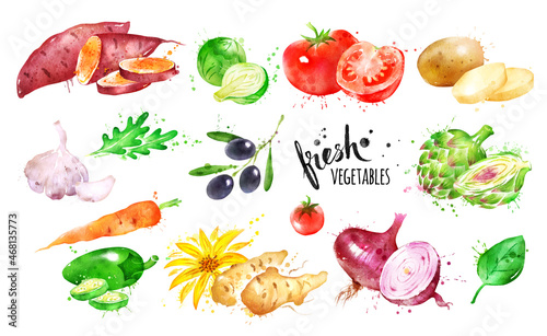 Fototapeta Naklejka Na Ścianę i Meble -  Watercolor illustration set of Vegetables