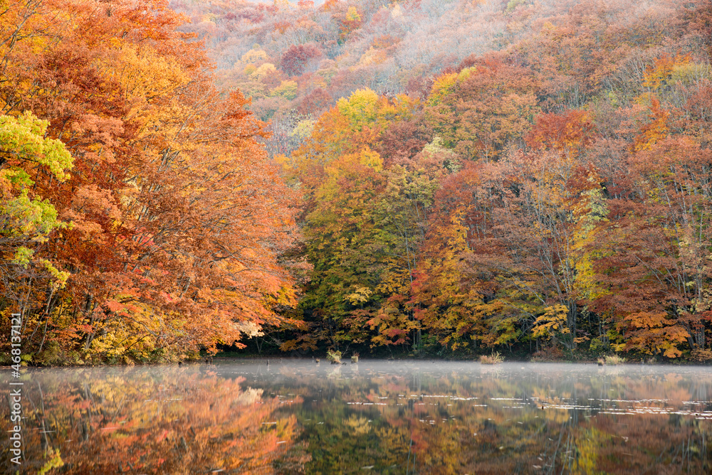 紅葉の裏磐梯・朝の曲沢沼