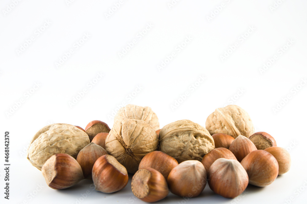 Group of hazelnuts and walnuts in a shell isolated with copy space Group of hazelnuts and walnuts in a shell isolated with copy space