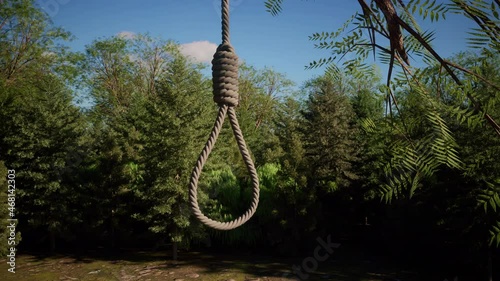 A close-up view around a rope with a noose knot hanging from the branch of a tree in a forest. photo