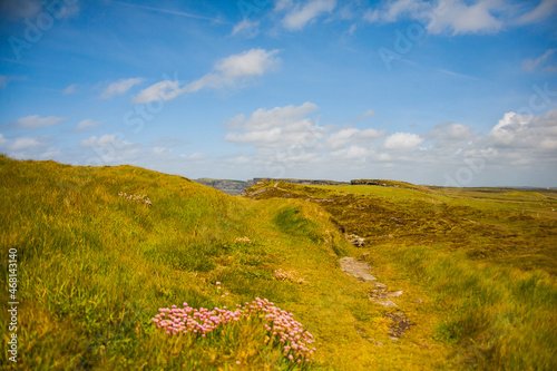 Spring landscape in Cliffs of Moher (Aillte An Mhothair), Ireland photo