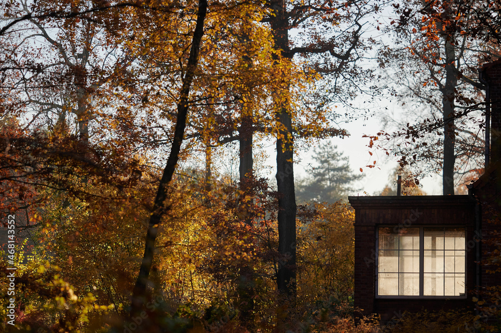 houses in the American colony mining estate in Katowice in autumn as seen from the air