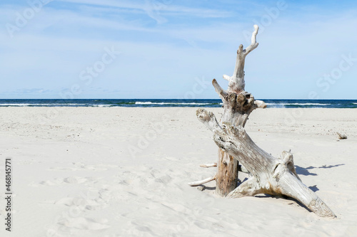 stary konar na piaskowej plaży