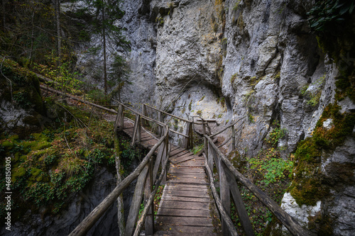 Devil's Path - picturesque eco-path and hiking trail in the Rhodopes mountains, Bulgaria. Wooden bridge at autumn